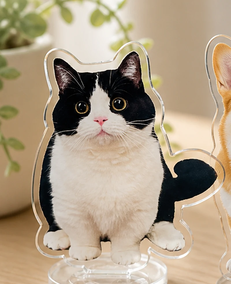 custom black and white cat acrylic photo standee