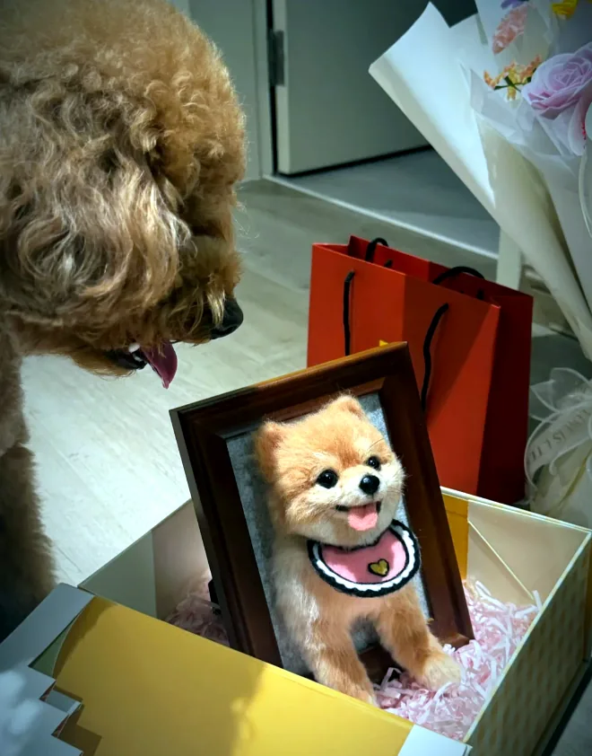 dog looking at a custom pet portrait frame in a gift box