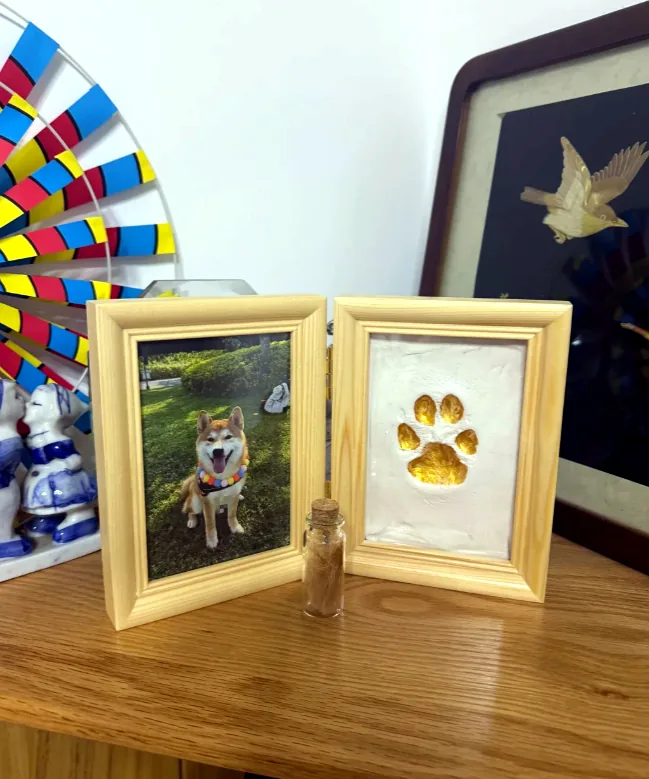paw print keepsake frame with pet photo and small memorial vial